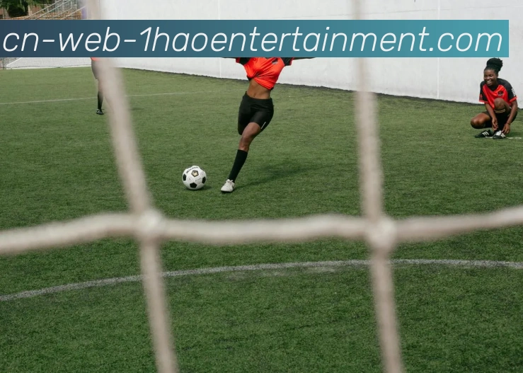 多媒体互动体验