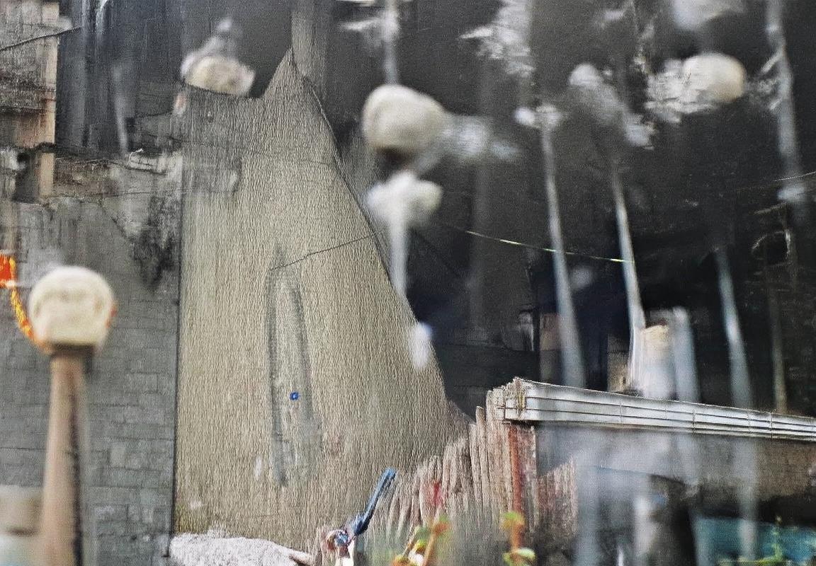 季前赛精彩对决：小牛力克魔术，青春老将齐头并进